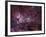 NGC 3372, the Eta Carinae Nebula-Stocktrek Images-Framed Photographic Print