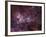 NGC 3372, the Eta Carinae Nebula-Stocktrek Images-Framed Photographic Print