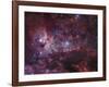 NGC 3372, the Eta Carinae Nebula-Stocktrek Images-Framed Photographic Print