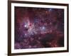 NGC 3372, the Eta Carinae Nebula-Stocktrek Images-Framed Photographic Print