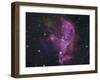 NGC 346, Open Cluster And Nebula Complex in the Small Magellanic Cloud-Stocktrek Images-Framed Premium Photographic Print