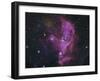 NGC 346, Open Cluster And Nebula Complex in the Small Magellanic Cloud-Stocktrek Images-Framed Photographic Print