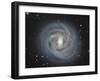 Ngc 4921, a Barred Spiral Galaxy in the Coma Cluster-null-Framed Photographic Print