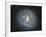 Ngc 4921, a Barred Spiral Galaxy in the Coma Cluster-null-Framed Photographic Print