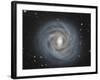 Ngc 4921, a Barred Spiral Galaxy in the Coma Cluster-null-Framed Photographic Print