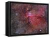 Ngc 6188 Emission Nebula in the Constellation Ara-null-Framed Stretched Canvas