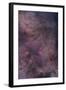 Ngc 6231 Area Oriented Equatorially-null-Framed Photographic Print