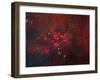 Ngc 6357, the Lobster Nebula in Scorpius-Stocktrek Images-Framed Photographic Print