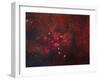 Ngc 6357, the Lobster Nebula in Scorpius-Stocktrek Images-Framed Photographic Print