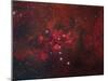 Ngc 6357, the Lobster Nebula in Scorpius-Stocktrek Images-Mounted Photographic Print