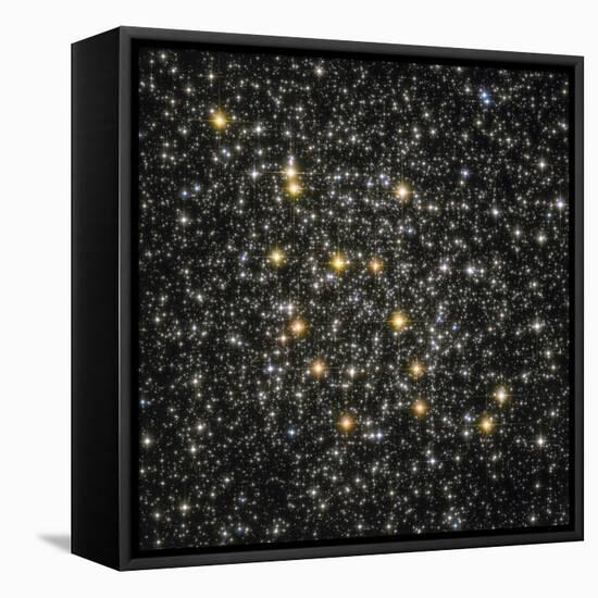 Ngc 6362 Globular Cluster in the Constellation Ara-null-Framed Stretched Canvas