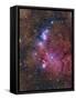 Ngc 6559 Emission and Reflection Nebulosity in Sagittarius-null-Framed Stretched Canvas