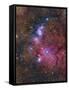 Ngc 6559 Emission and Reflection Nebulosity in Sagittarius-null-Framed Stretched Canvas