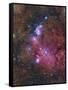 Ngc 6559 Emission and Reflection Nebulosity in Sagittarius-null-Framed Stretched Canvas