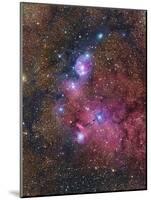 Ngc 6559 Emission and Reflection Nebulosity in Sagittarius-null-Mounted Photographic Print