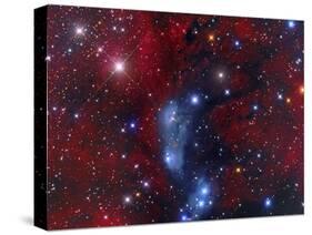 Ngc 6914, a Reflection Nebula in Cygnus-Stocktrek Images-Stretched Canvas