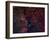 NGC 6914, Reflection Nebula in Cygnus-Stocktrek Images-Framed Photographic Print