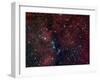 NGC 6914, Reflection Nebula in Cygnus-Stocktrek Images-Framed Photographic Print