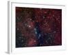 NGC 6914, Reflection Nebula in Cygnus-Stocktrek Images-Framed Photographic Print