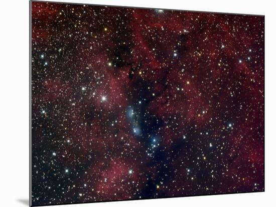 NGC 6914, Reflection Nebula in Cygnus-Stocktrek Images-Mounted Photographic Print