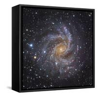 NGC 6946, a Spiral Galaxy in Cepheus-Stocktrek Images-Framed Stretched Canvas