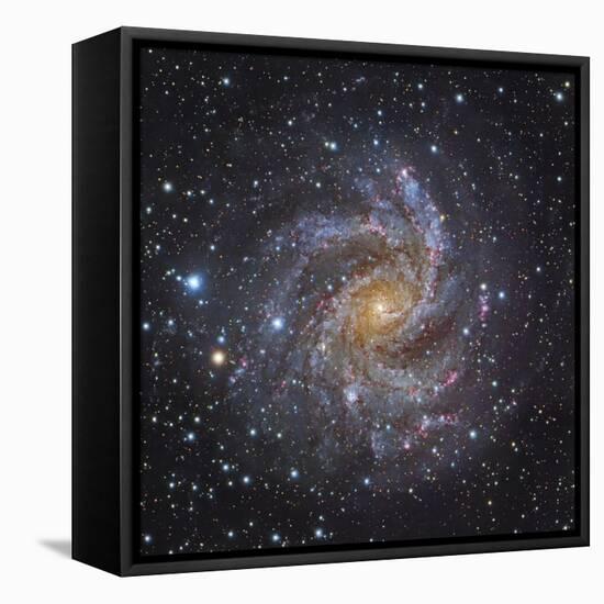 NGC 6946, a Spiral Galaxy in Cepheus-Stocktrek Images-Framed Stretched Canvas