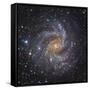 NGC 6946, a Spiral Galaxy in Cepheus-Stocktrek Images-Framed Stretched Canvas