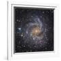 NGC 6946, a Spiral Galaxy in Cepheus-Stocktrek Images-Framed Photographic Print