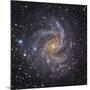 NGC 6946, a Spiral Galaxy in Cepheus-Stocktrek Images-Mounted Photographic Print