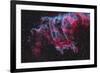 Ngc 6995, the Bat Nebula, Part of the Veil Nebula in Cygnus-Stocktrek Images-Framed Photographic Print