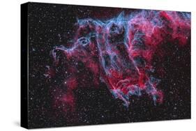 Ngc 6995, the Bat Nebula, Part of the Veil Nebula in Cygnus-Stocktrek Images-Stretched Canvas