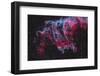 Ngc 6995, the Bat Nebula, Part of the Veil Nebula in Cygnus-Stocktrek Images-Framed Photographic Print