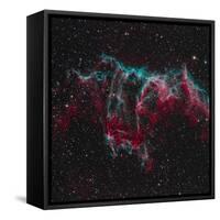 Ngc 6995, the Bat Nebula-null-Framed Stretched Canvas