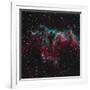 Ngc 6995, the Bat Nebula-null-Framed Photographic Print