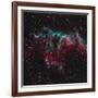 Ngc 6995, the Bat Nebula-null-Framed Photographic Print