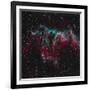 Ngc 6995, the Bat Nebula-null-Framed Photographic Print