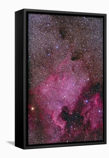 Ngc 7000 and the Pelican Nebula-null-Framed Stretched Canvas
