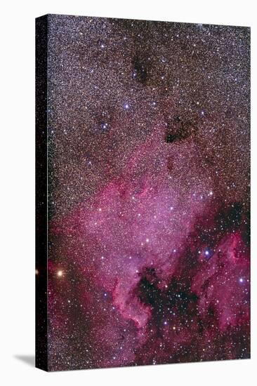 Ngc 7000 and the Pelican Nebula-null-Stretched Canvas