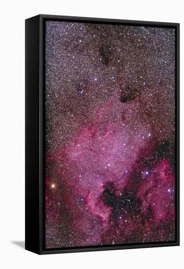Ngc 7000 and the Pelican Nebula-null-Framed Stretched Canvas