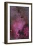 Ngc 7000 and the Pelican Nebula-null-Framed Premium Photographic Print