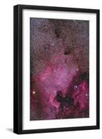 Ngc 7000 and the Pelican Nebula-null-Framed Premium Photographic Print