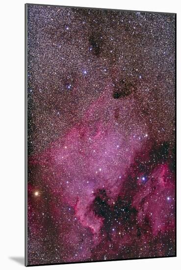 Ngc 7000 and the Pelican Nebula-null-Mounted Photographic Print