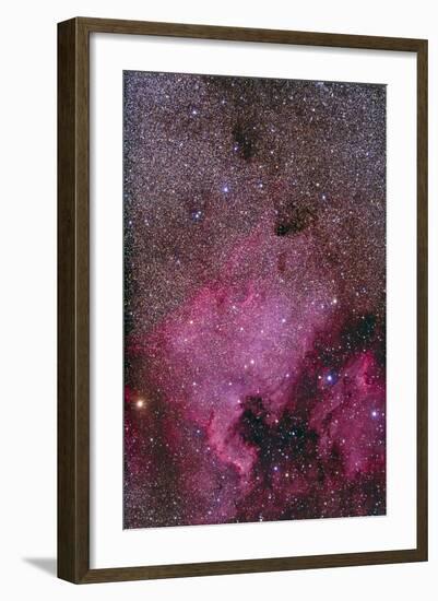 Ngc 7000 and the Pelican Nebula-null-Framed Photographic Print