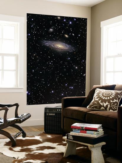 Giant Art Print, , large