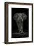 Ngorongoro Bull-Mario Moreno-Framed Photographic Print