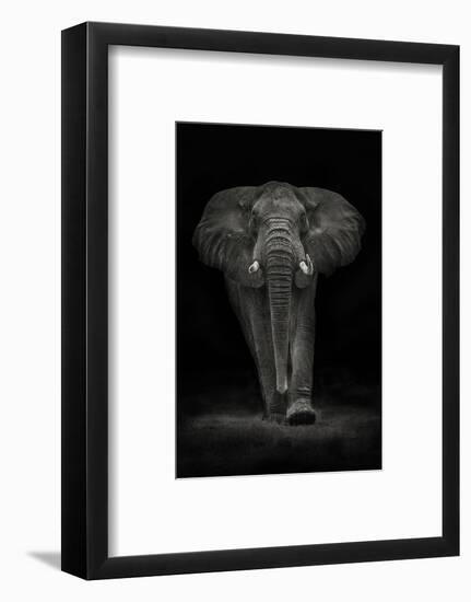 Ngorongoro Bull-Mario Moreno-Framed Photographic Print