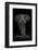 Ngorongoro Bull-Mario Moreno-Framed Photographic Print