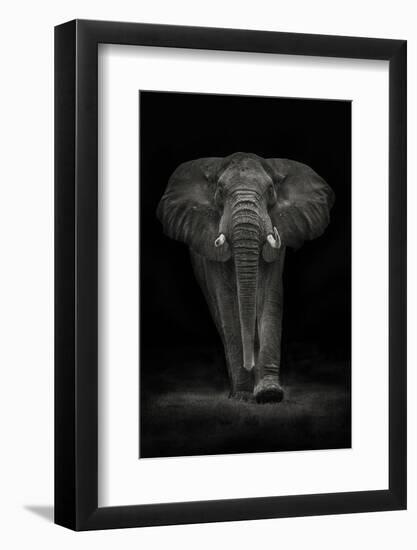 Ngorongoro Bull-Mario Moreno-Framed Photographic Print