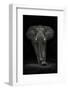 Ngorongoro Bull-Mario Moreno-Framed Photographic Print