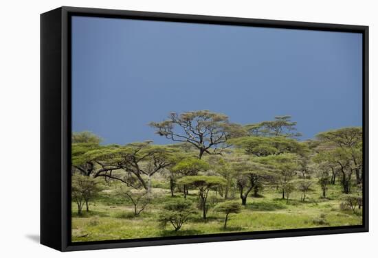 Ngorongoro Conservation Area, Tanzania-Paul Souders-Framed Stretched Canvas